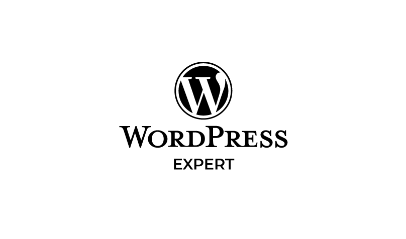 Expert wordpress à Dijon